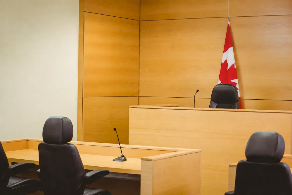 Bail Hearing Representation