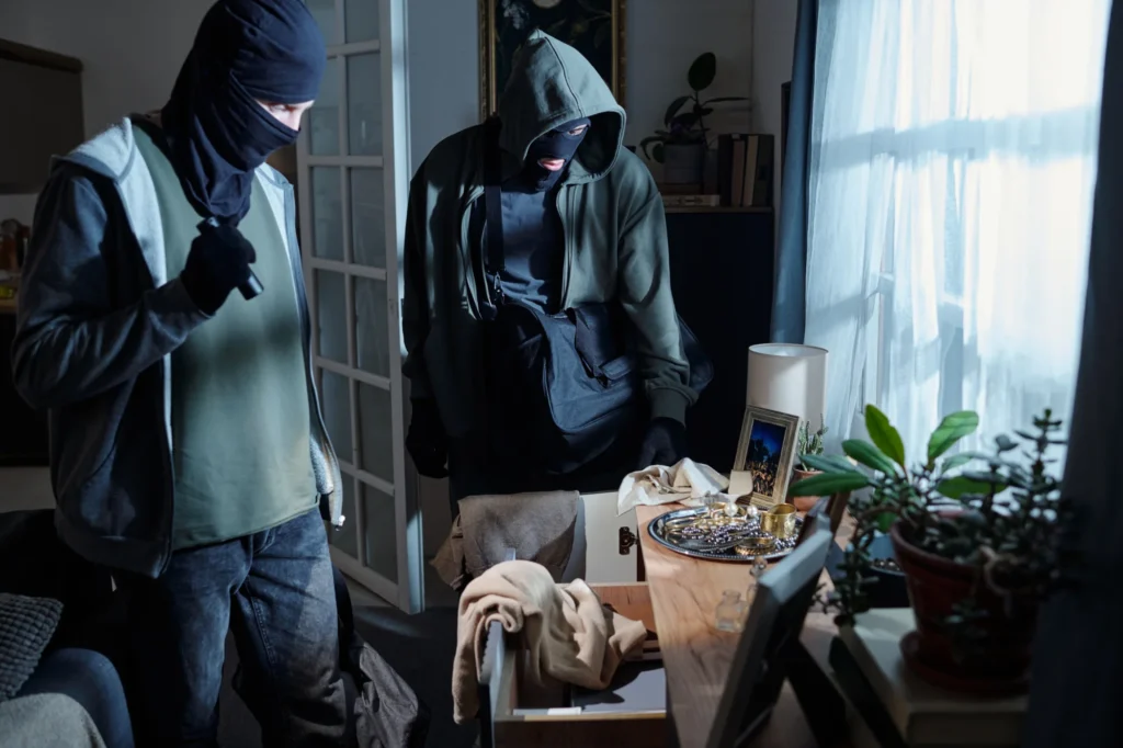Theft & Fraud Offences